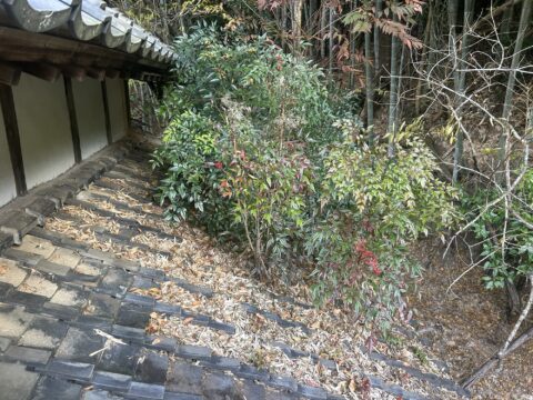 宮若市　M様邸屋根清掃工事